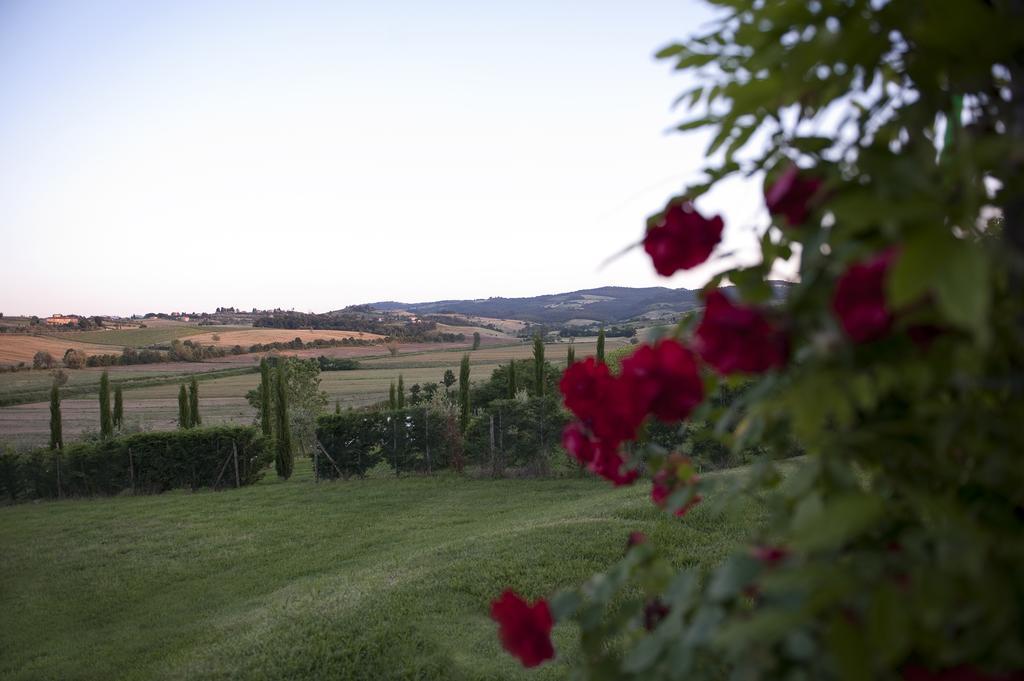 Agriturismo La Corte Dei Sogni Hotel Torrita di Siena Esterno foto