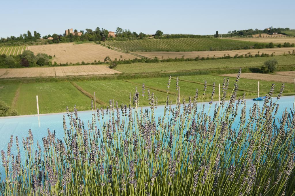 Agriturismo La Corte Dei Sogni Hotel Torrita di Siena Esterno foto